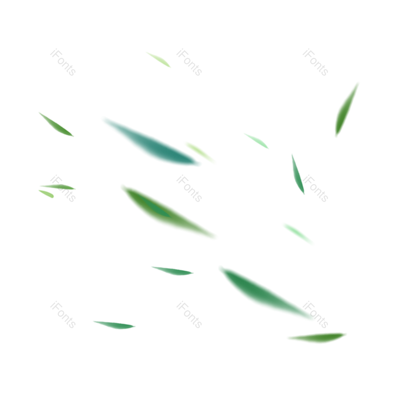 叶子图片,装饰元素,夏天PNG,素材免抠素材